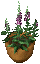 flowerpot2.gif